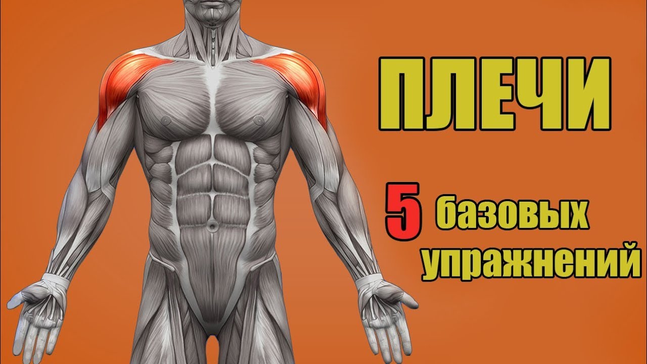 ПЛЕЧИ. 5 БАЗОВЫХ УПРАЖНЕНИЙ. + ОШИБКИ УБИВАЮЩИЕ ПРОГРЕСС!
