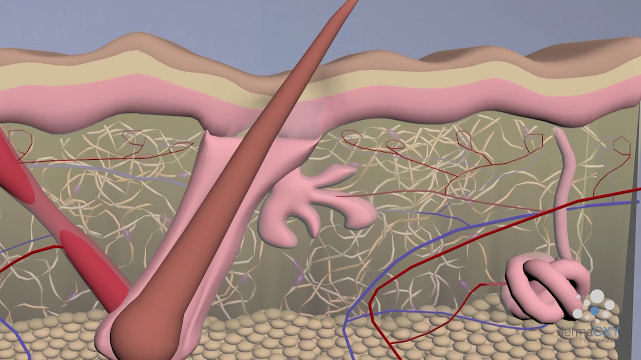 Approfondimento Dermaoxy 3D video -