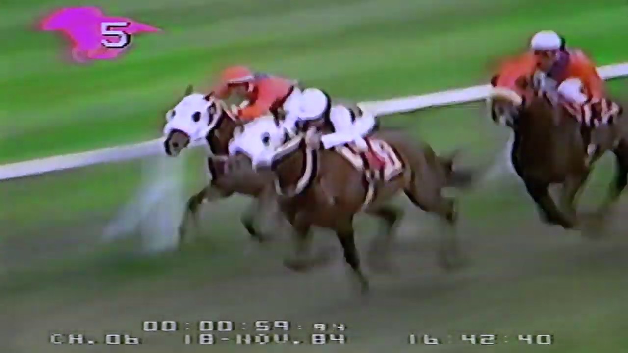 Club Hípico año 1984 (Parte 2)