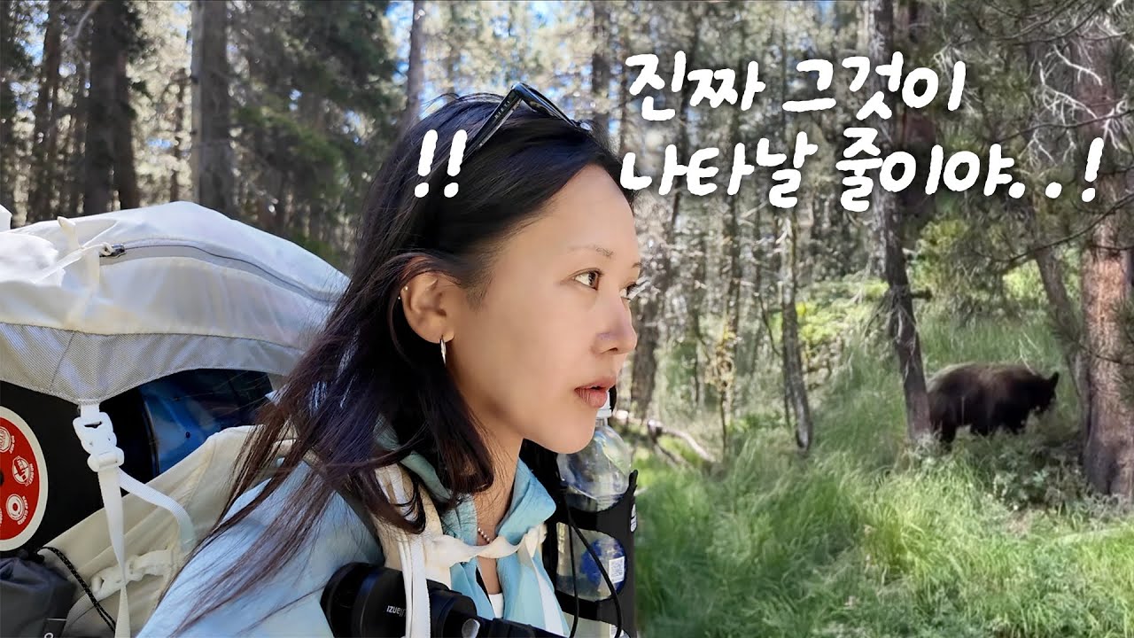 나 다시 걸을 수 있을까..?ㅣ존뮤어 트레일🇺🇸 EP.5