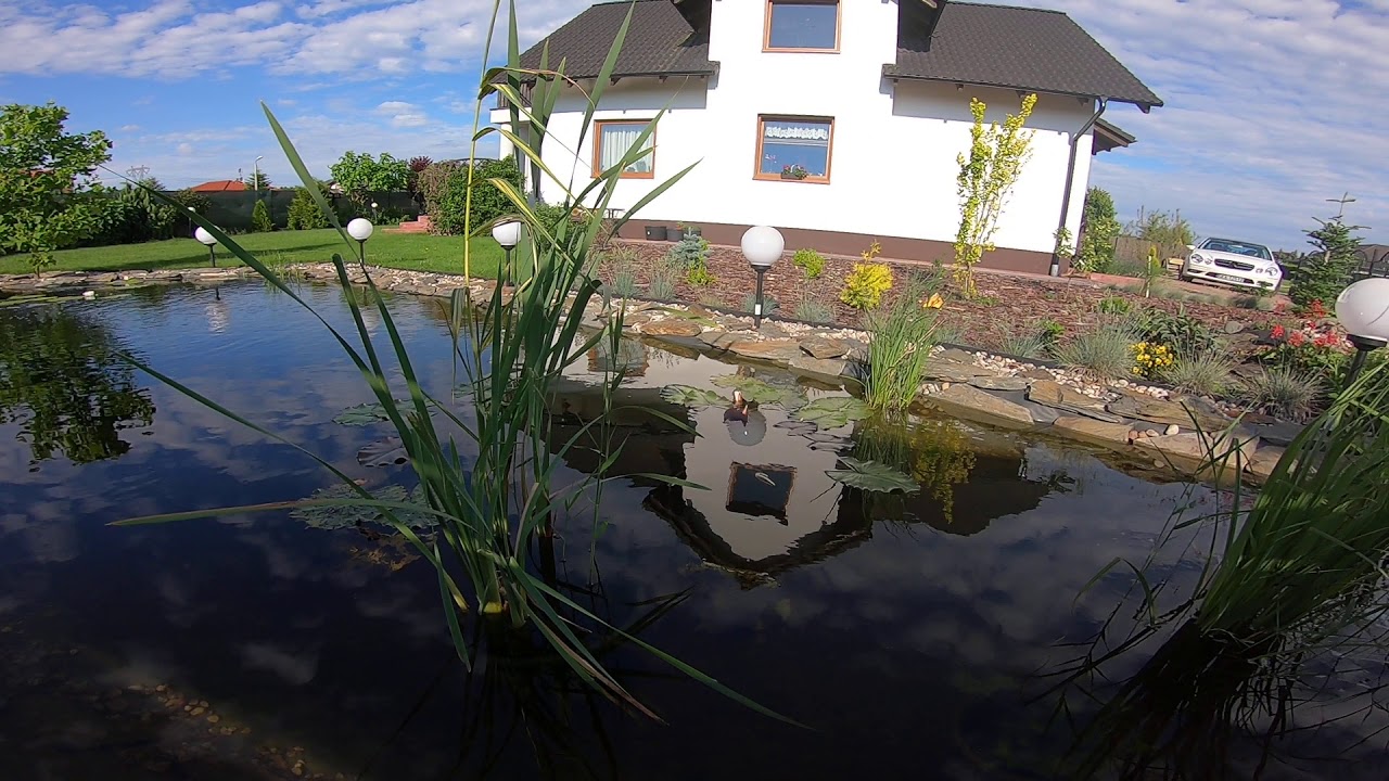 Oczko wodne filtry