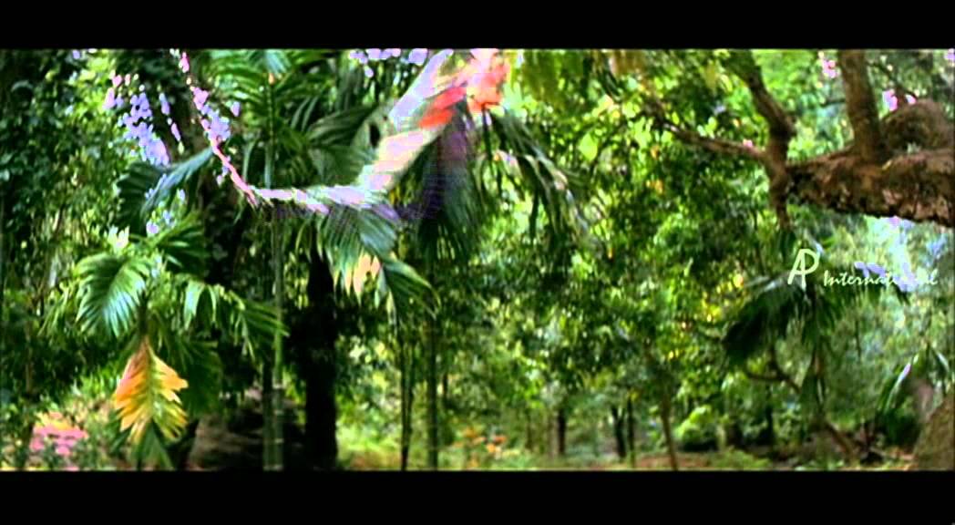 Once More - Vijay Assault Fight