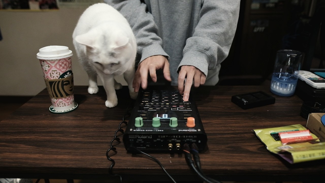 呼煙魔(Dr. KOENMA) / SP-404MK2 Beat Live (Selection of Beats made in February 2026)