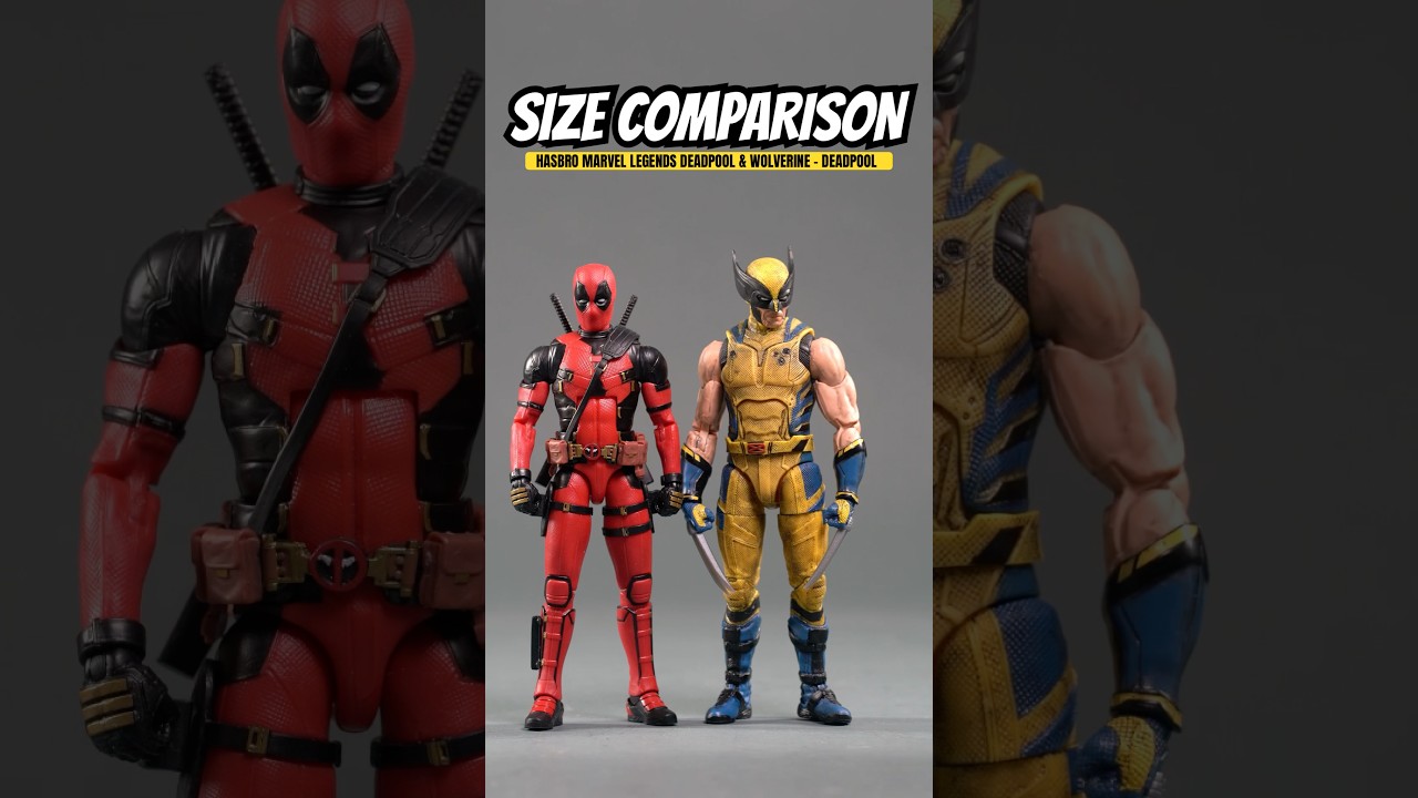 Size Comparison: Hasbro Marvel Legends Marvel Studios Deadpool & Wolverine - Deadpool #deadpool