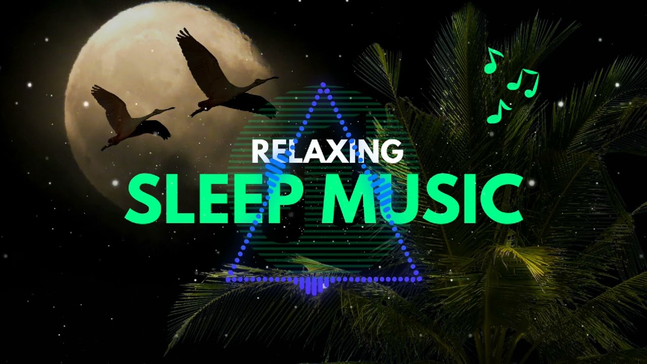 [ROYALITY FREE MUSIC] use this music as background music.