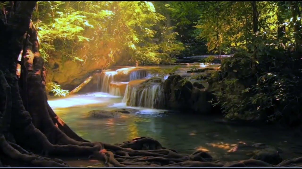 Nature Whisper Soothing Forest Waterfall 4k  Relaxing Nature Sounds for Stress Relief