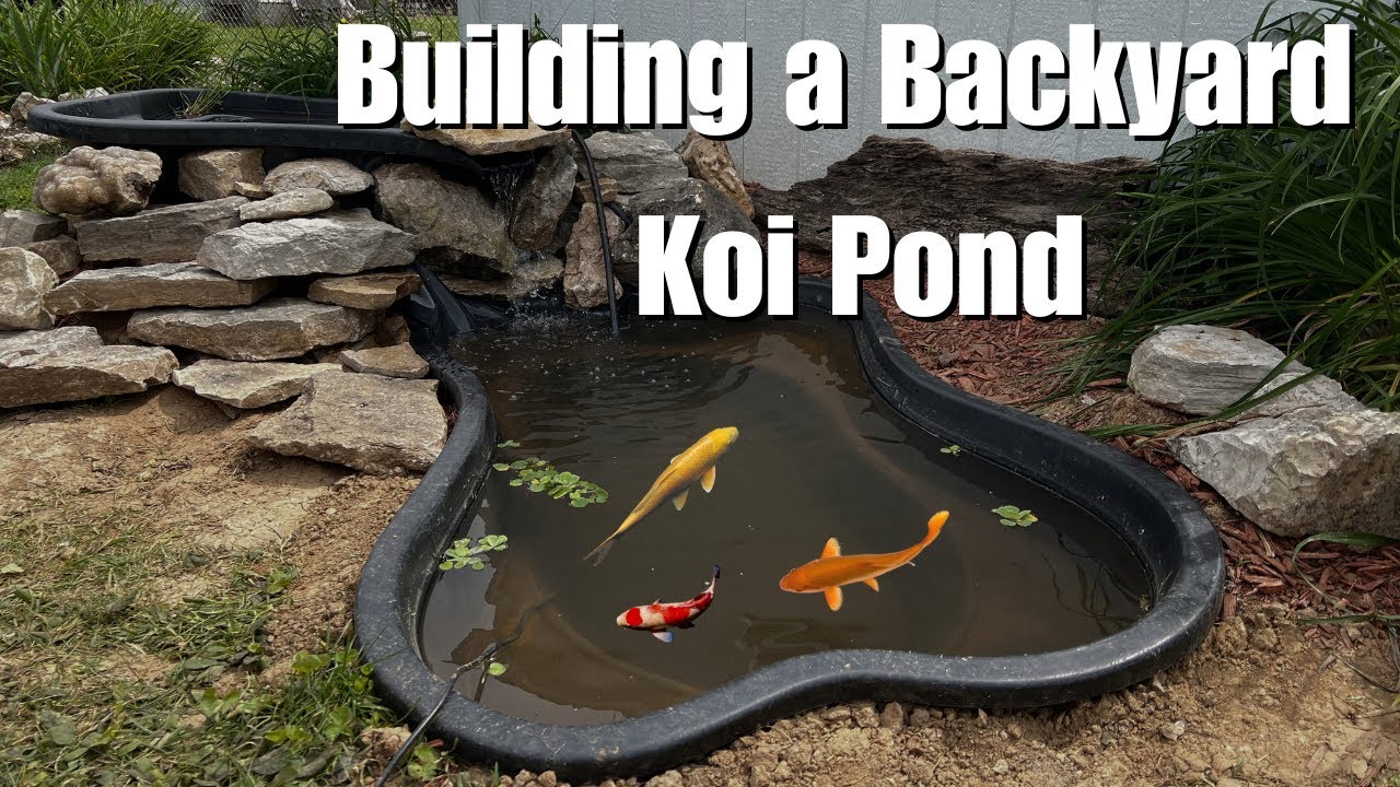 WANNA BUILD A KOI POND FOR YOUR BACKYARD?!