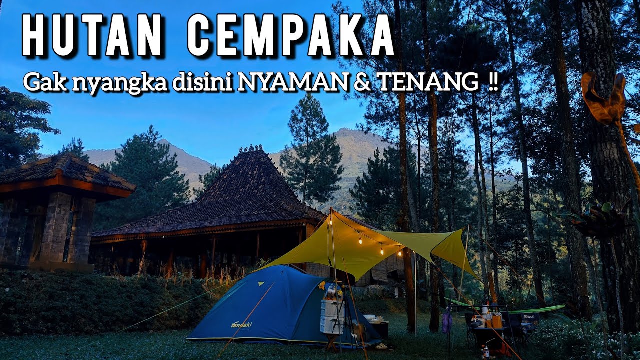 CAMPING DI HUTAN CEMPAKA PRIGEN |CAMPING GROUND PRIGEN |REVIEW KEDAI CAFE HUTAN CEMPAKA|ALAT CAMPING