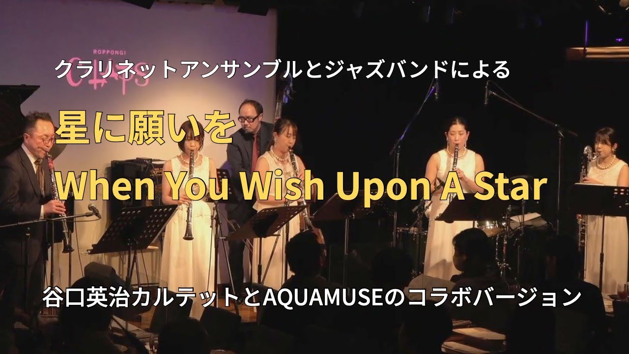 星に願いを When You Wish Upon A Star