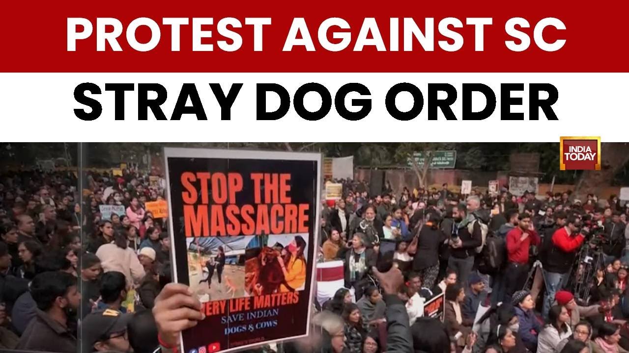 Protesters Rally At Jantar Mantar Against SC Order To Remove Stray Dogs From Public Spaces