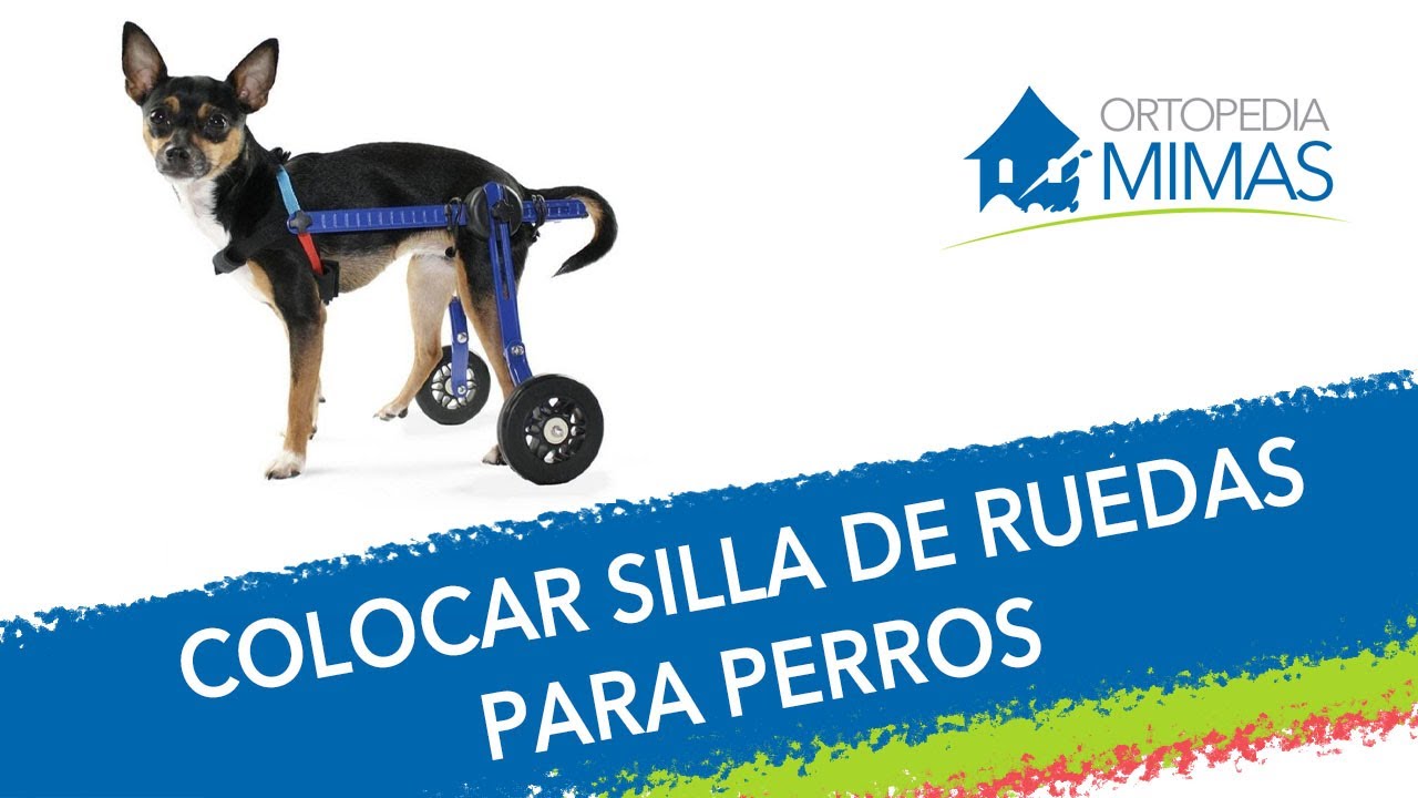 Instrucciones para ajustar y colocar la silla de ruedas para perros