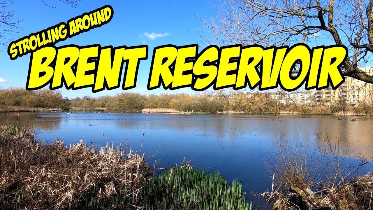 Brent Reservoir Nature Reserve March 2019