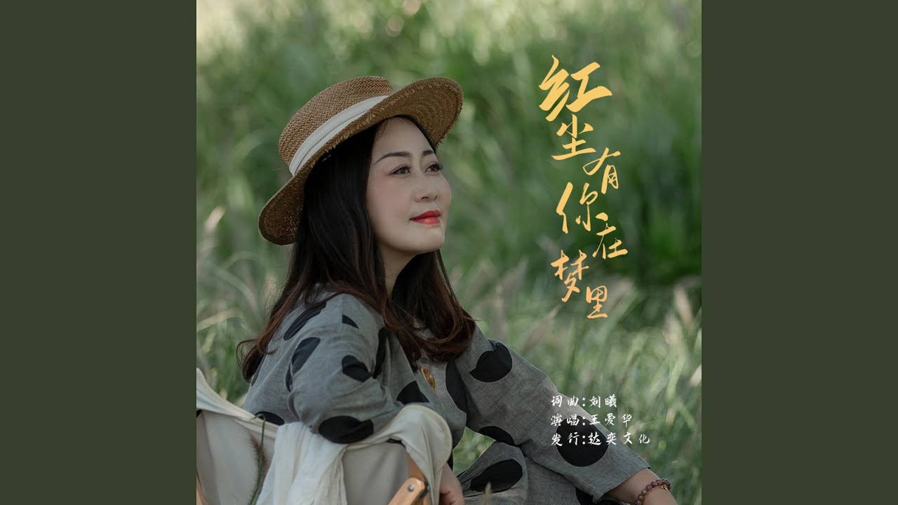 红尘有你在梦里（DJ版）