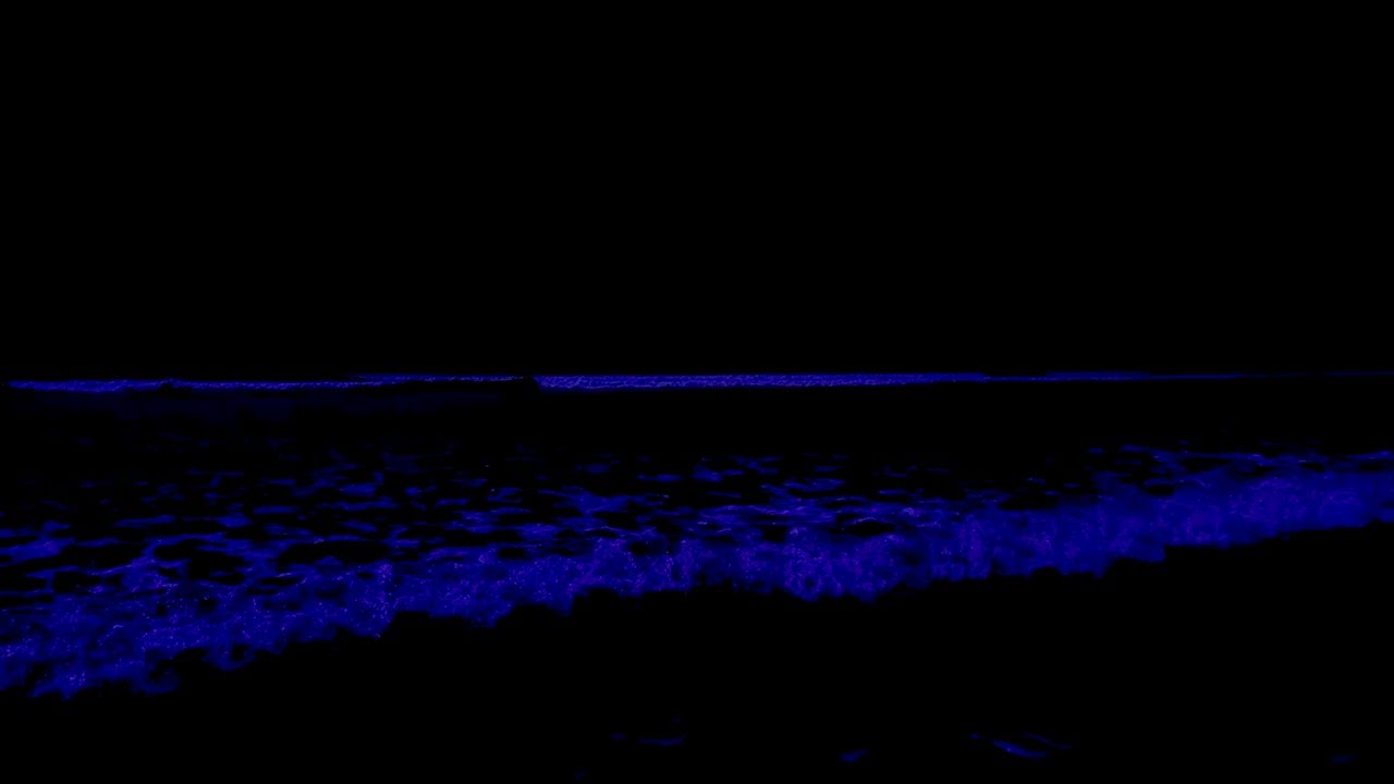 (No Ads) Deep Relaxation Music • Ocean Sounds For Relive Insomnia With A Dark Screen & Rolling Waves