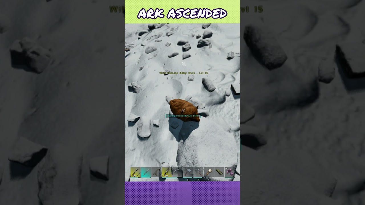 Fast Way To Berry Tame Ovis | Ark Survival Ascended