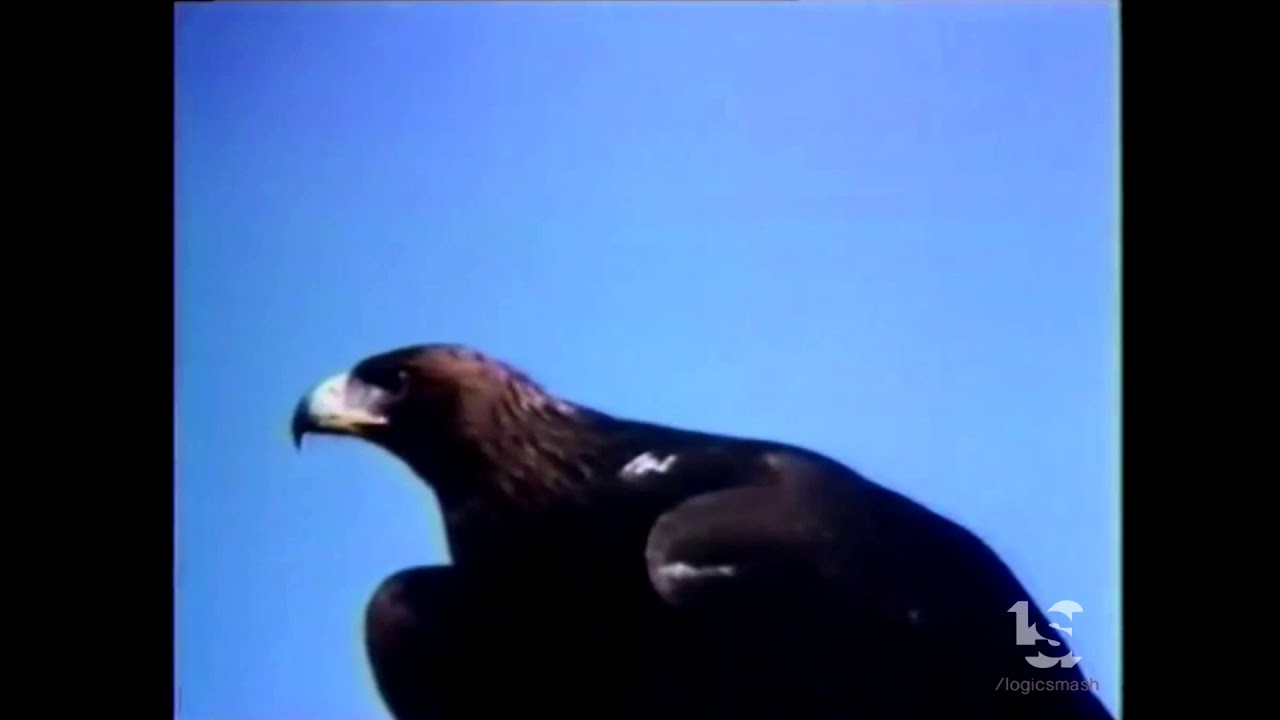 American National Enterprises/Frameline Productions (1983)
