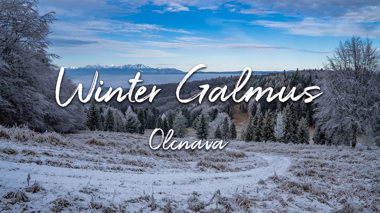 Winter Galmus || Sony A6300 || DJI Mavic Mini 4K