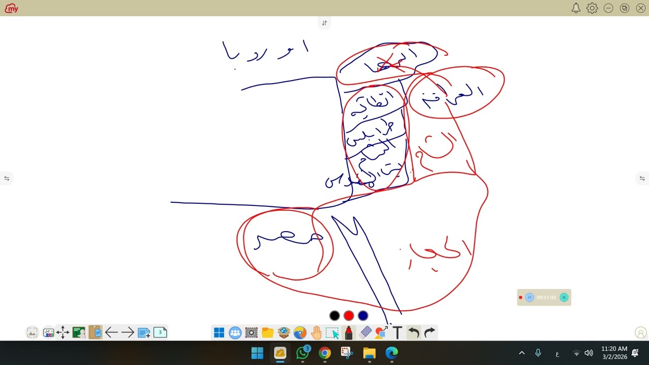الايوبين 2ث