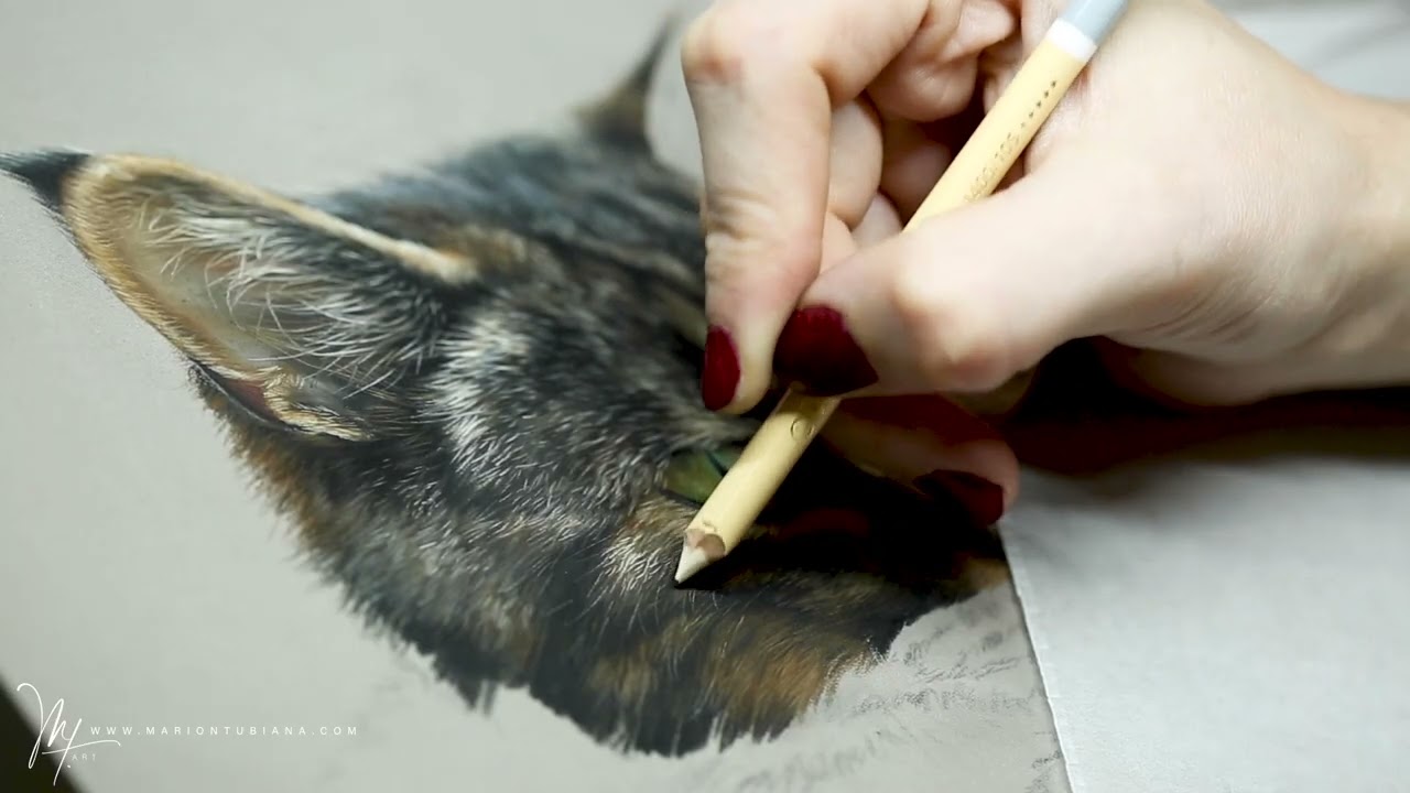Chat aux pastels par Marion Tubiana