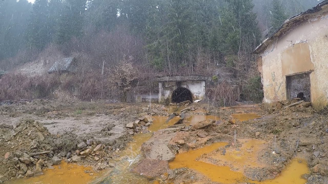 Șeful echipei Remin din Băiuț explică în ce condiții s-a produs accidentul ecologic.