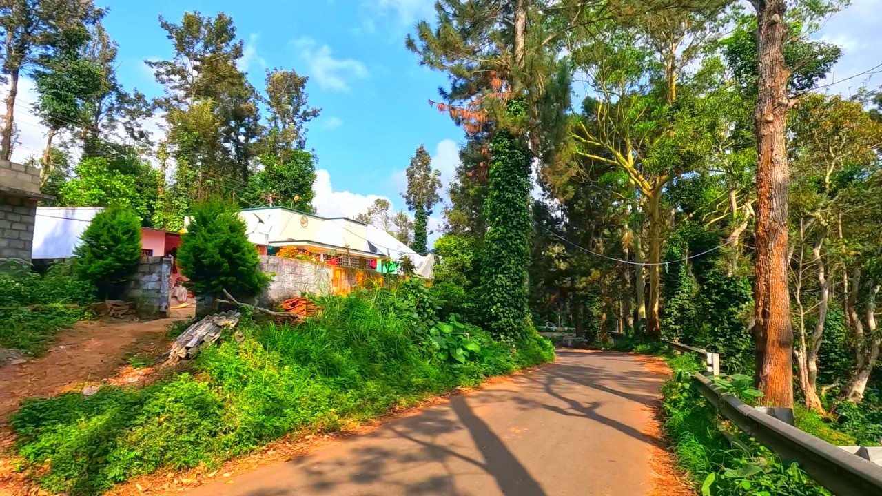 Hidden indian farmlands | Serenity walk in Kizh Solakkadu's lush farmlands and Forest, Kolli hills