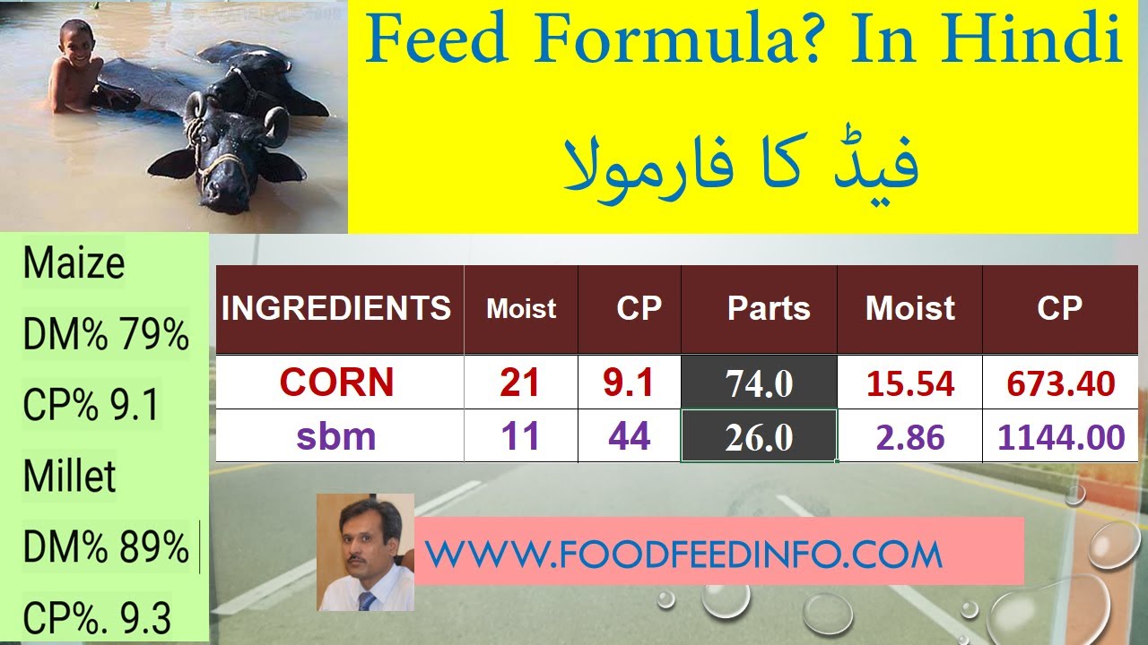 Dairy Feed Formula as Asked by a Viewer in Hindi-Urdu with formula in English