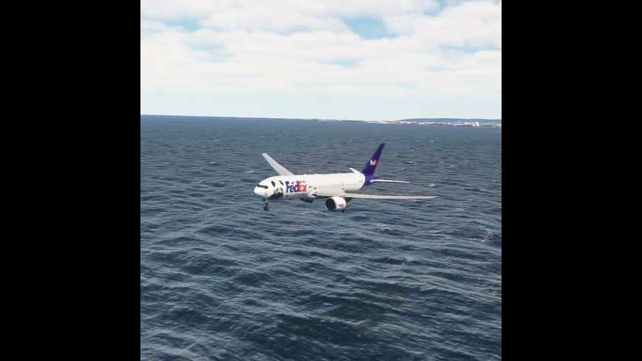 the carelessness of an airplane pilot 0245