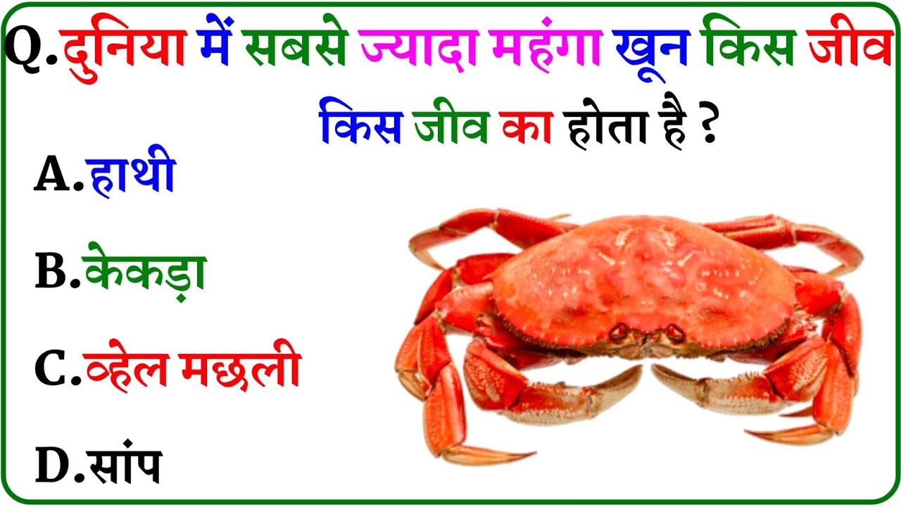 GK Question || GK In Hindi || GK Question and Answer || GK Quiz ||
