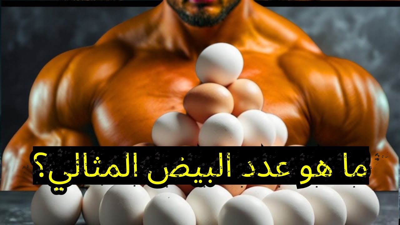 هل تريد عضلات فولاذية؟ تناول أكبر قدر ممكن من البيض