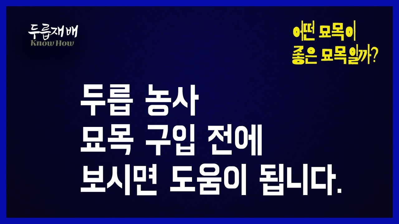 두릅 묘목을 구입하기 전에 꼭 보세요