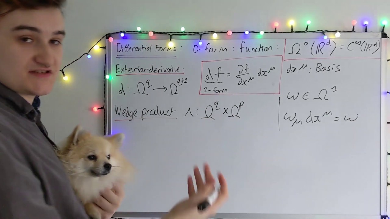 Manifolds #10 - Introducing Differential Forms (on R^d)