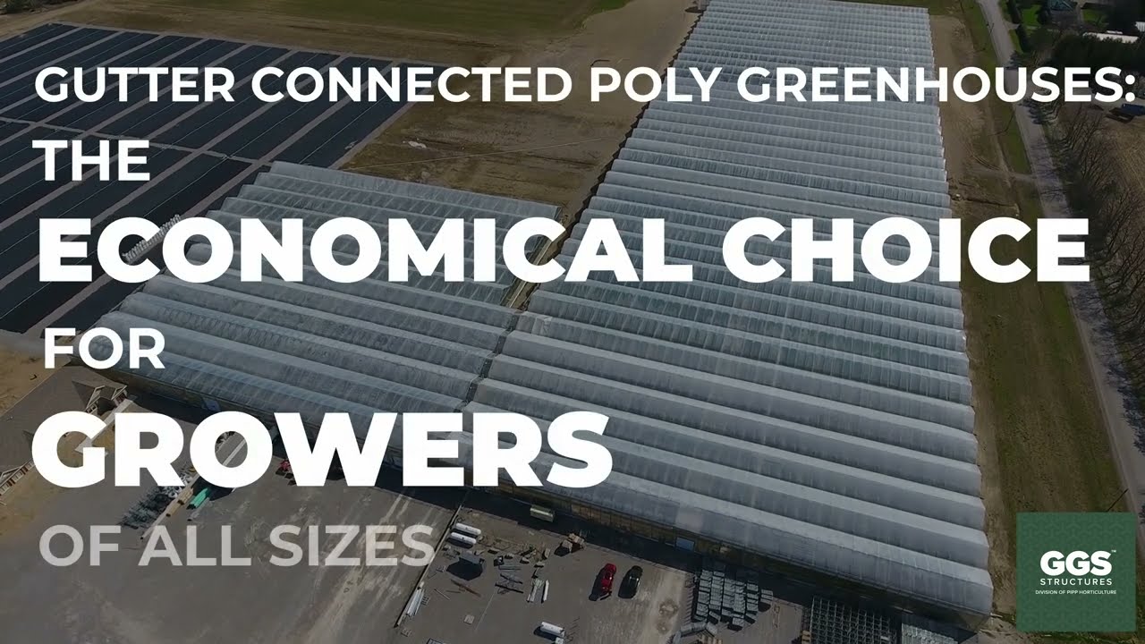 Gutter Connected Greenhouses: The Ultimate in Efficiency and Adaptability