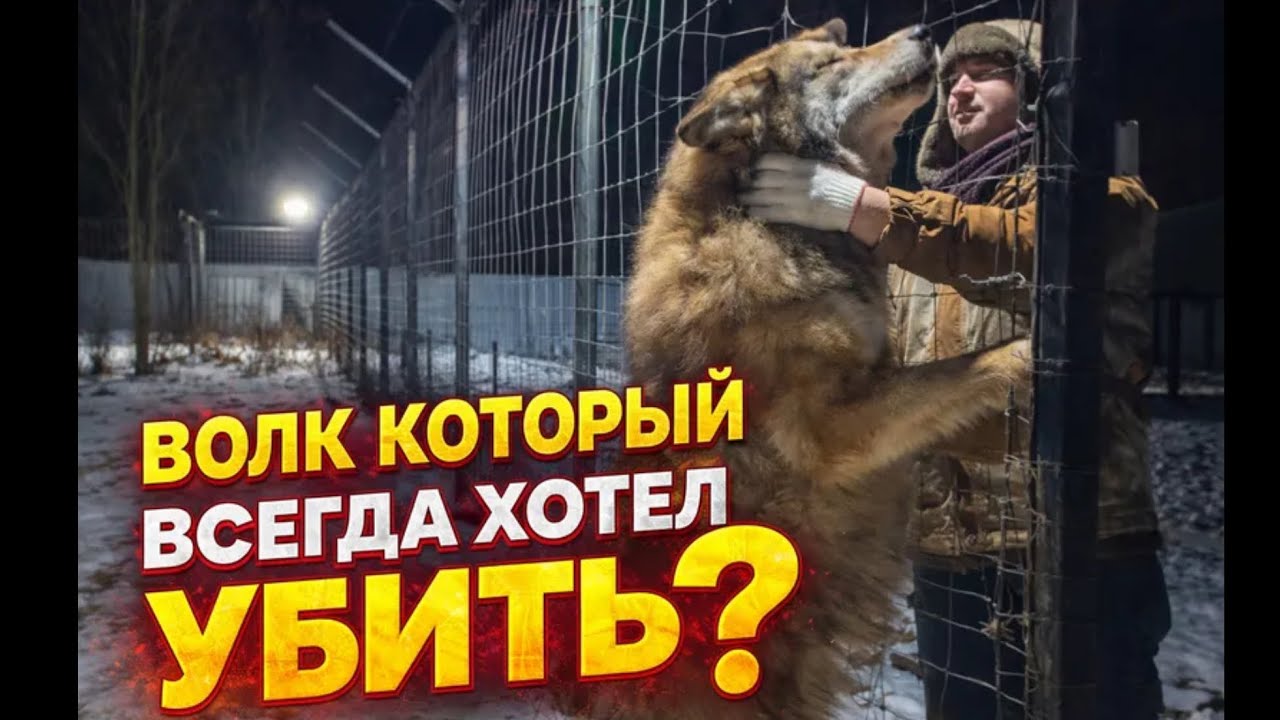 Спустя 4 года 😱 Вместо тысячи слов‼️