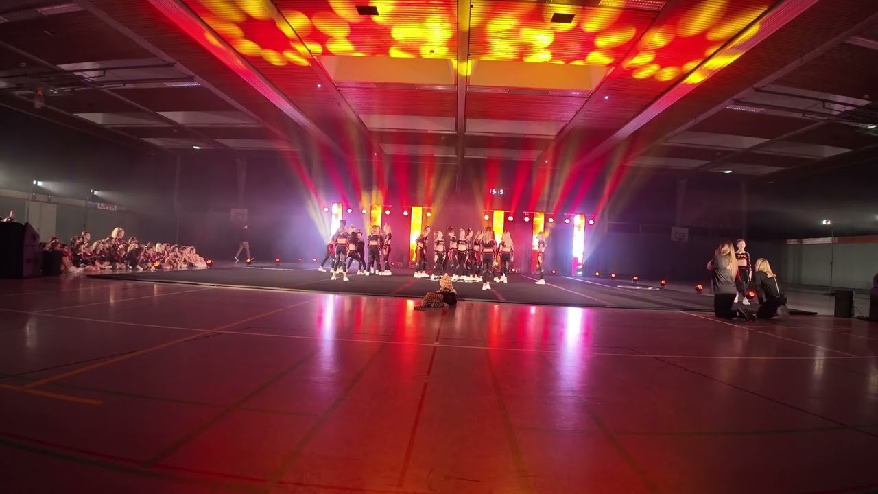 Claw Cats - Grand Debut 2026