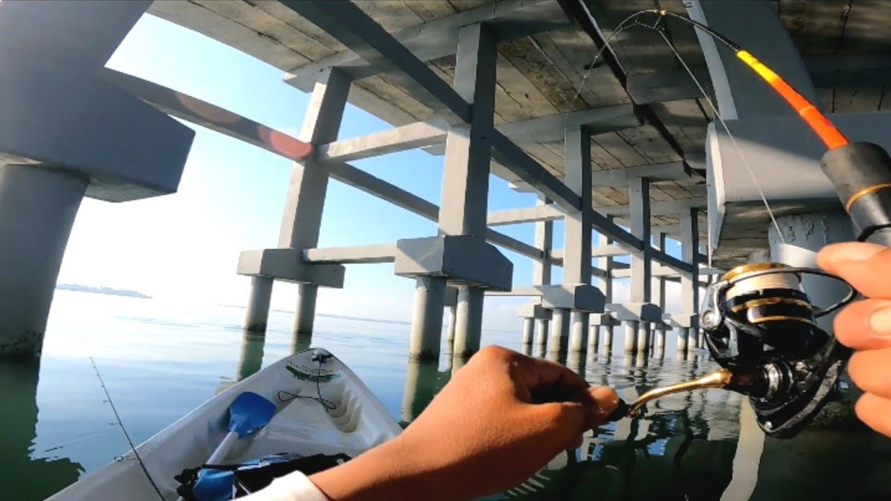 Disini Rame Sekali Ikannya Pada Ngumpul | Tol Bali Mandara
