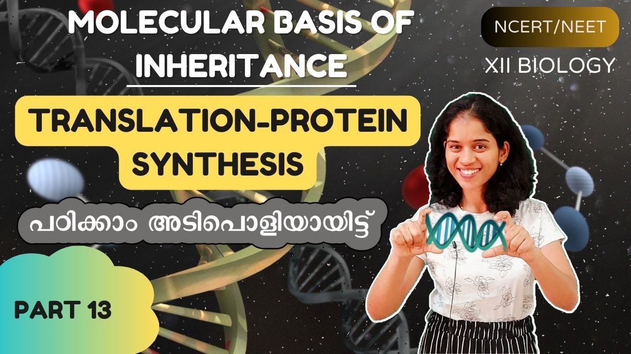 MOLECULAR BASIS OF INHERITANCE - TRANSLATION /NEET/XII/ MALAYALAM