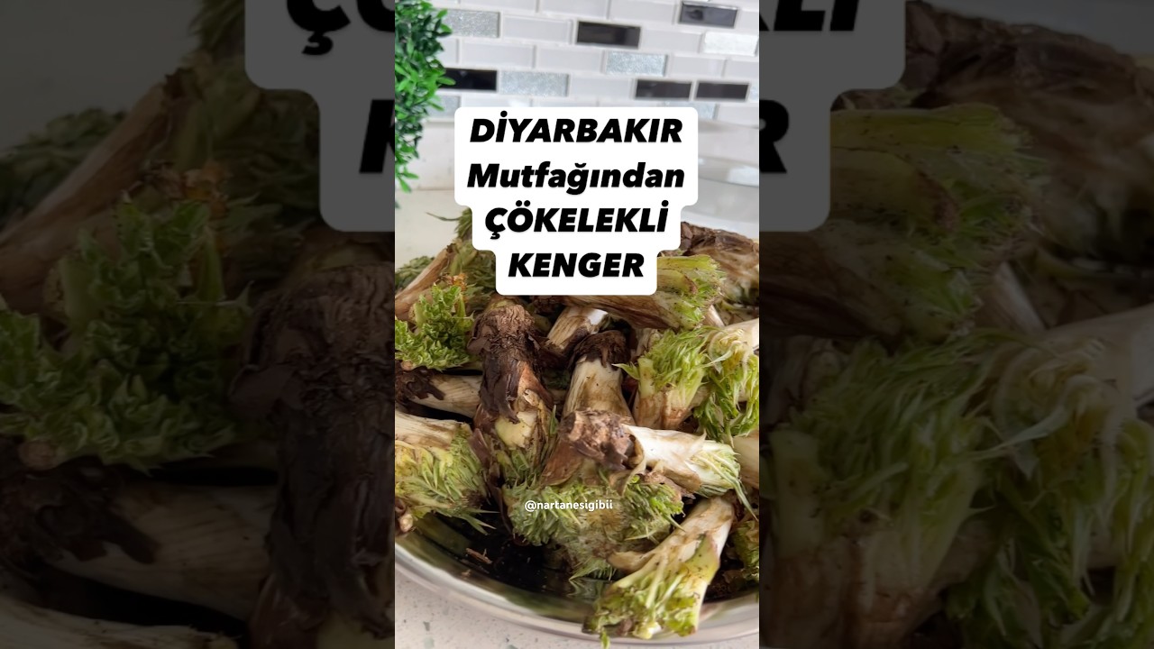 ‼️KERENG‼️ #shortsvideo #shotrs #keşfetbeni&ouml;ne&ccedil;ıkar