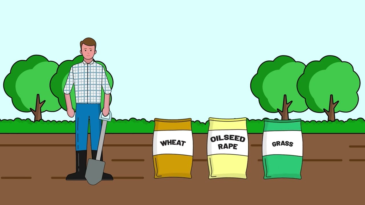 How the Seed sector works in UK agriculture