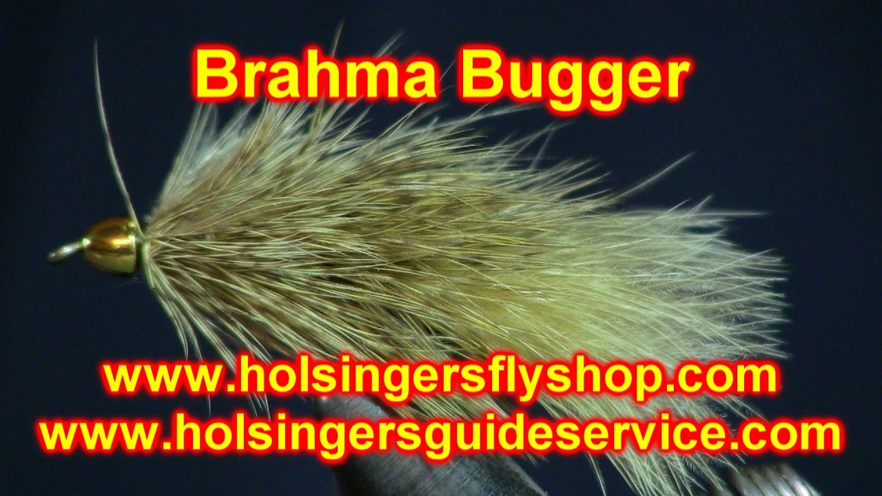 Brahma Bugger, Holsingers Fly Shop