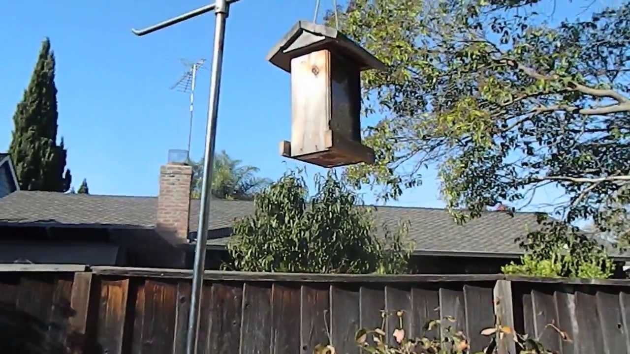Actual Squirrel Proof Bird Feeder