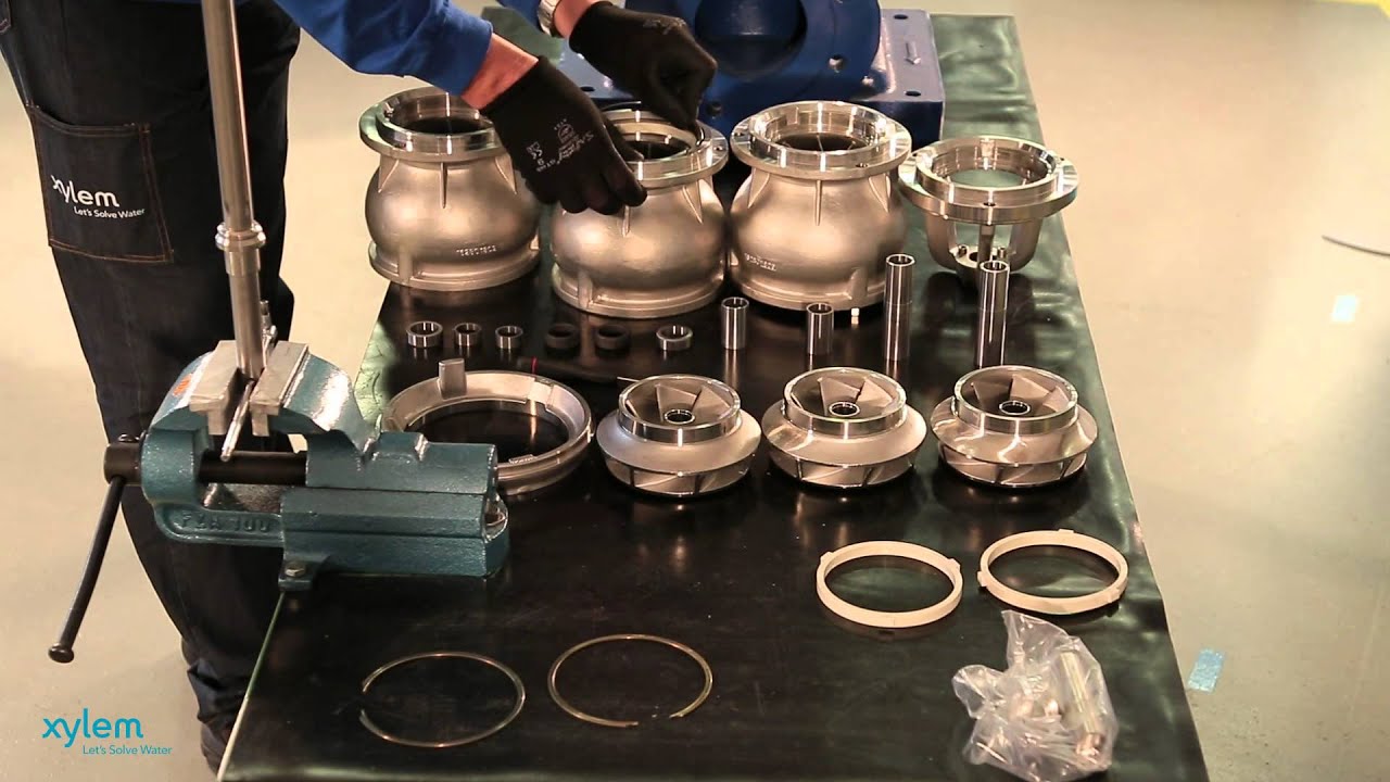 Repair: Lowara e-SV 125SV