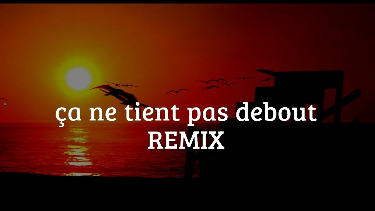 ça ne tient pas debout - REMIX