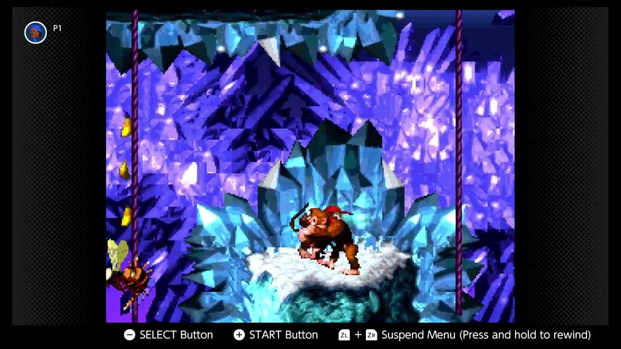Donkey Kong Country; 4-2 Slipslide Ride!; 2024/8/2 AZL9S no mic SNES-NSO video