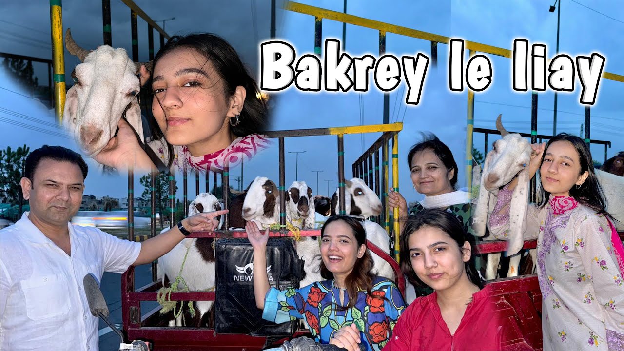 Finally Qurbani ke bakrey khareed liay ? | Titu mil gya | Sistrology | Rabia Faisal