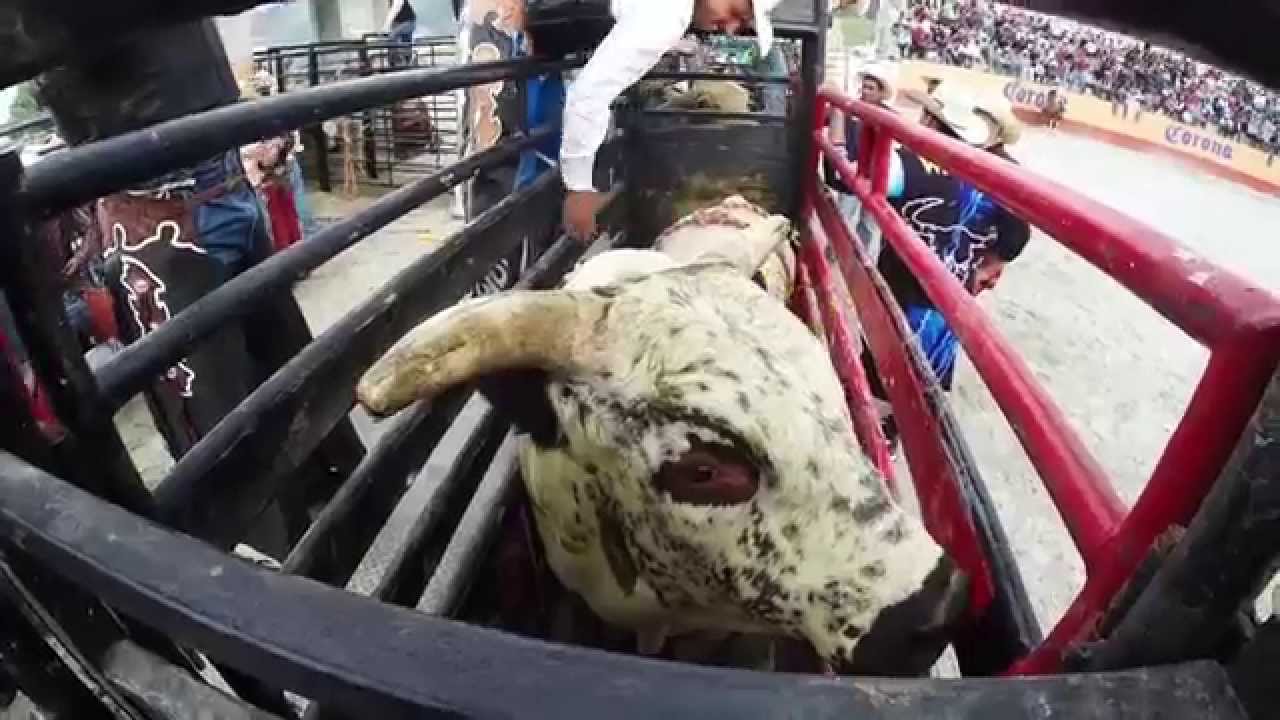 Cuernos Chuecos - Sangre Rodeo - Joe & Rod