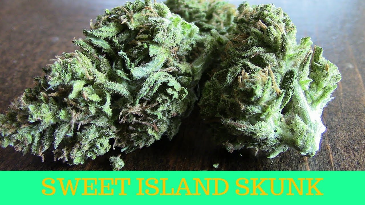 Sweet Island Skunk and Teriyaki Pork Chops