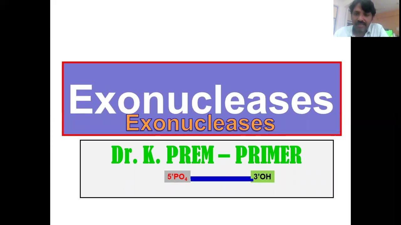 Exonucleases @ Dr. K. Prem-Primer