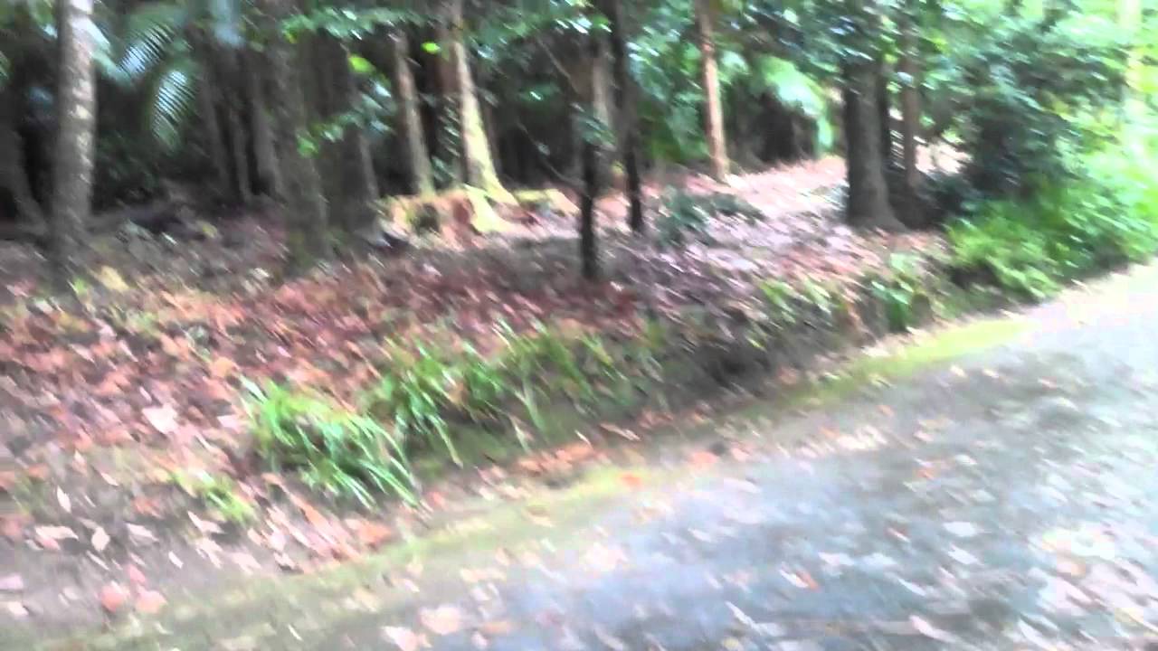 Parque Terra Nostra, Açores