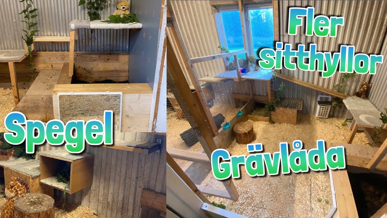 Hur mycket kan man f&ouml;rb&auml;ttra kaninernas boende f&ouml;r 300 kr?