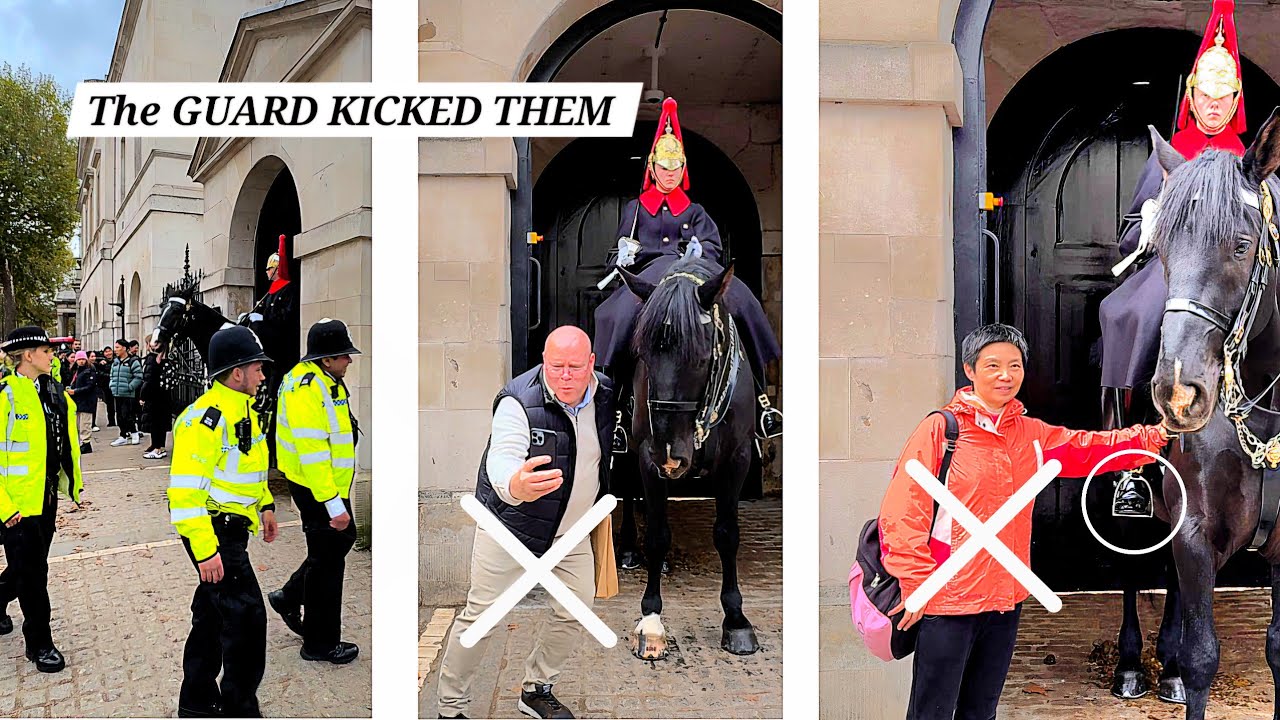 They IGNORED & Disrespected the New Rule and King's Guard Kicked Them at Horse Guards in London